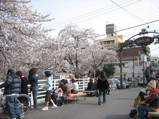 e0009547_23441594.jpg