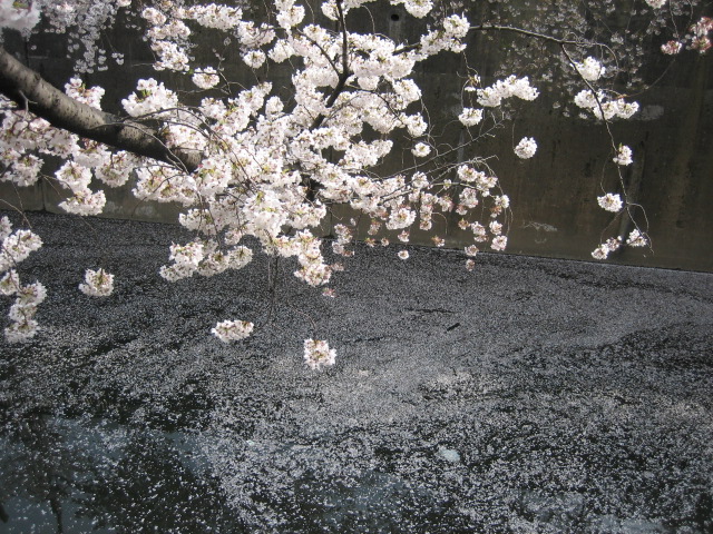 e0009547_23445655.jpg