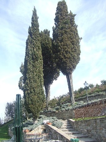 e0047488_23213080.jpg