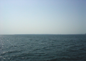c0008598_21912.jpg