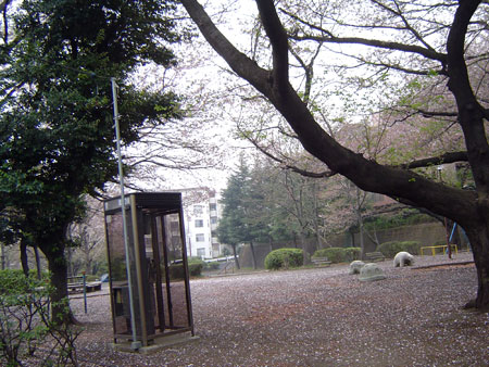 c0011204_11880.jpg