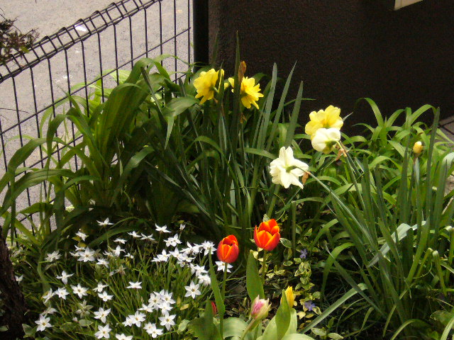 d0000324_10383891.jpg