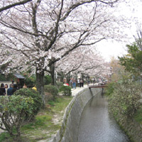 京都要庵歳時記　『春の特別公開　椿寺　霊鑑寺』（2）_d0033734_12562059.jpg