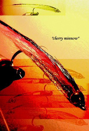 <Vol.250>cherry minnow_d0029241_2221475.jpg