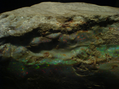 e0005548_016213.jpg