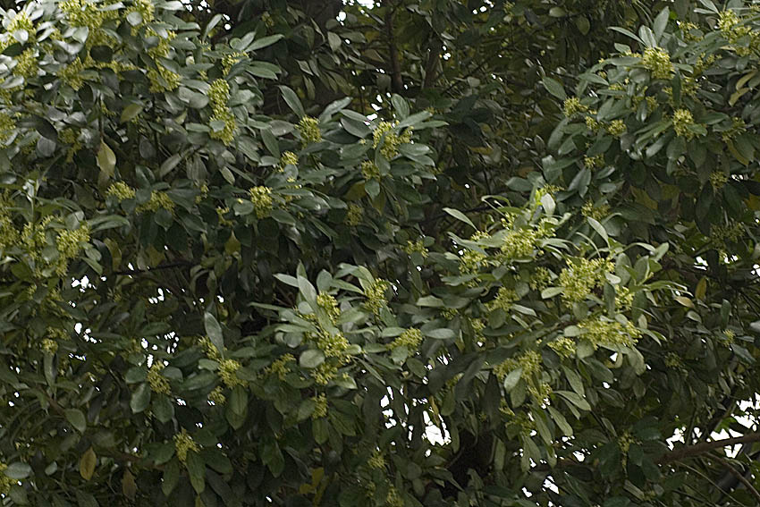 f0077849_18503054.jpg