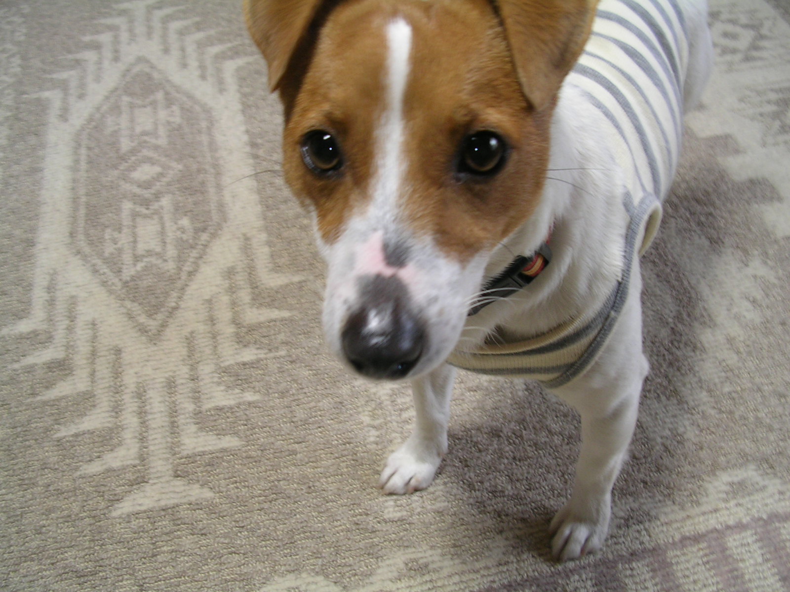 f0108553_20115517.jpg