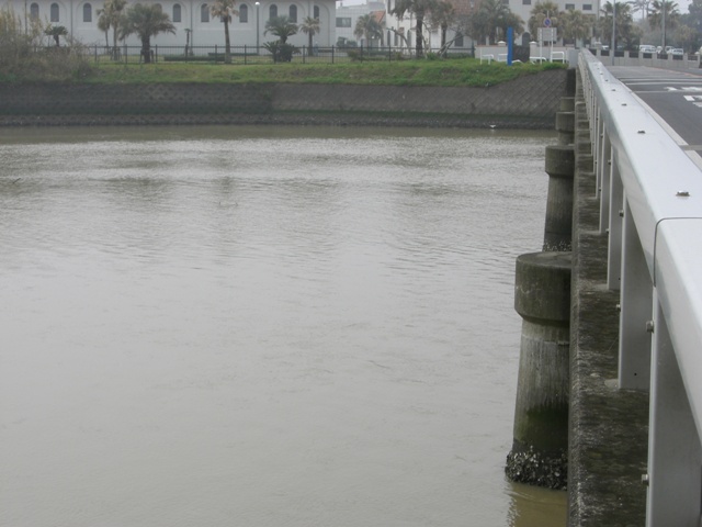 d0029756_13511151.jpg