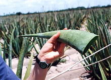 f0009256_13532758.jpg