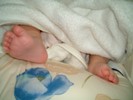 baby\'s feet_f0086872_1474474.jpg