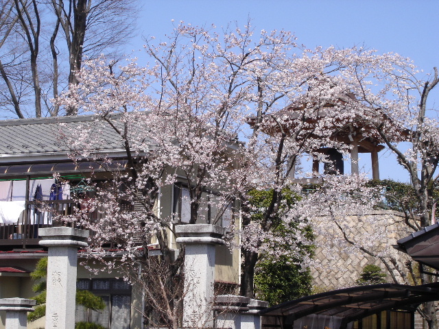 a0035273_11491161.jpg