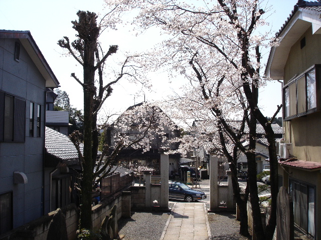 a0035273_11493665.jpg