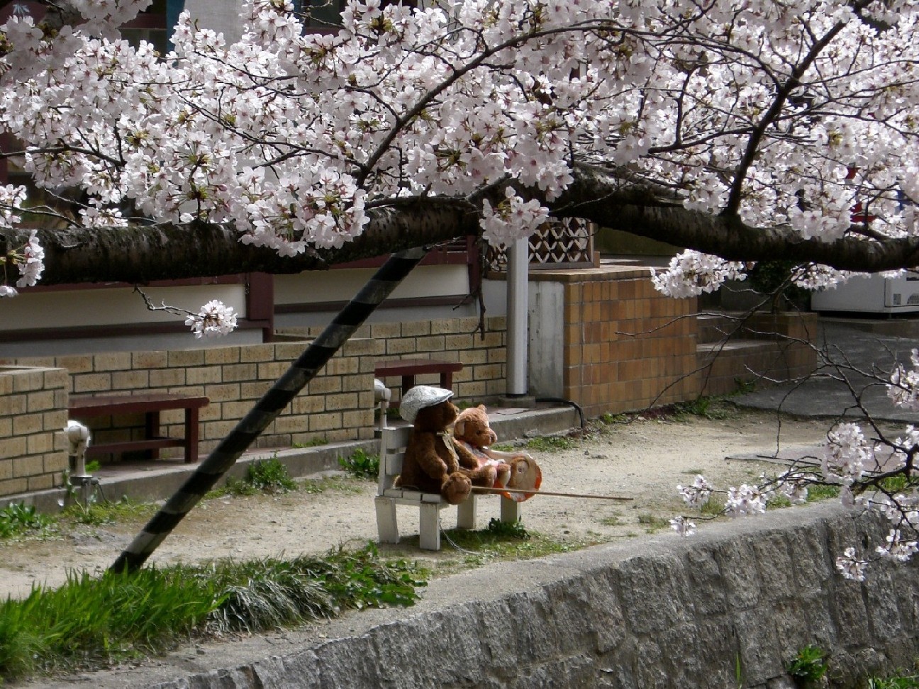 春らんまんでした＠京都　その１_e0048086_23503223.jpg