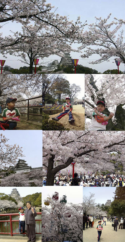 お城の桜_a0001088_0292121.jpg