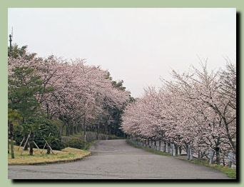 石川県教育センター_f0079990_8552557.jpg