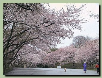 石川県教育センター_f0079990_8553151.jpg