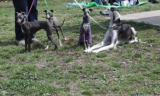 本牧山頂公園にて　集合（？）写真_b0073094_15395956.jpg