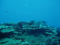 f0079996_11344561.jpg