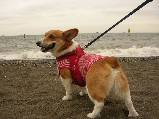 a0024004_18331570.jpg