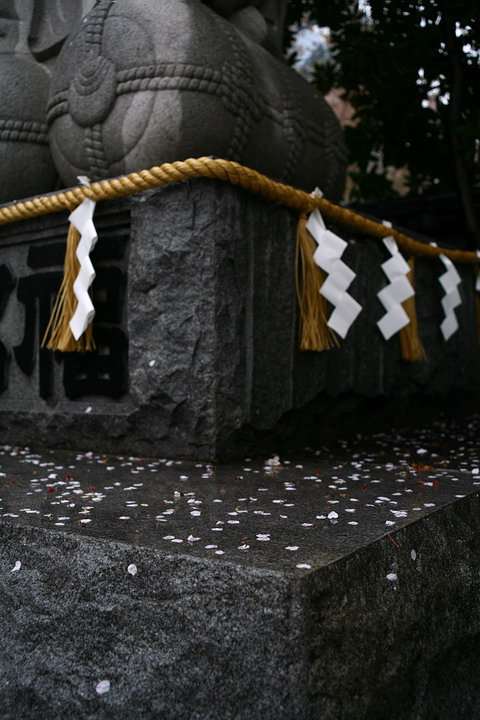 f0071708_15323890.jpg