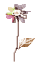 f0030346_1310257.gif