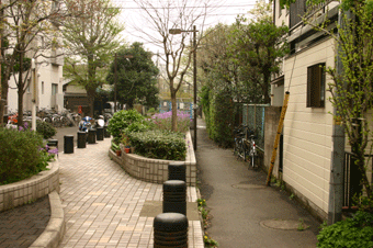 c0042548_22542991.gif