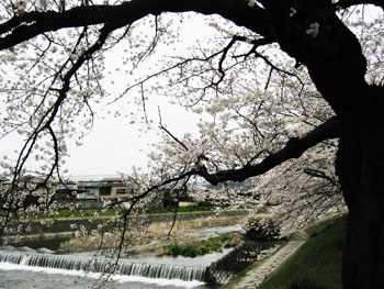 f0041351_21511721.jpg