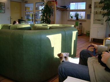 e0079166_18038.jpg