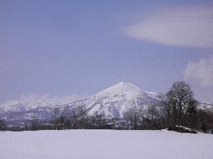 b0068572_153133.jpg