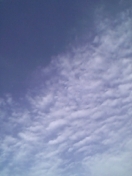 f0098680_20395670.jpg