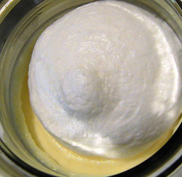 c0016987_1503371.jpg