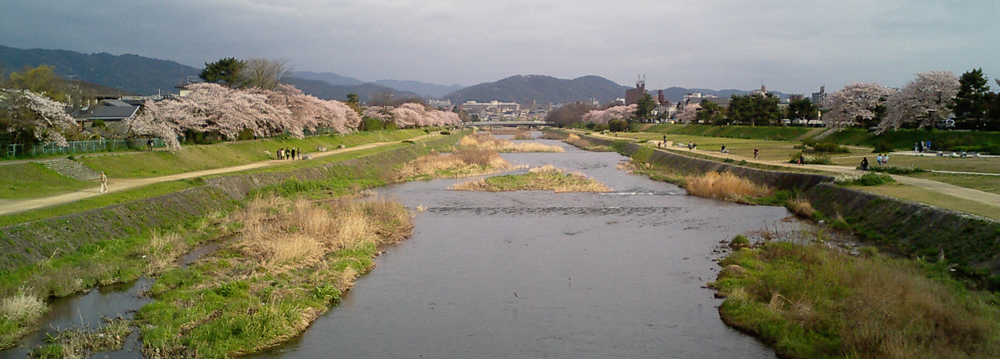 こうゆう年もあり。_b0067699_2202234.jpg