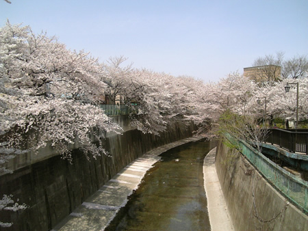 e0088612_10435927.jpg
