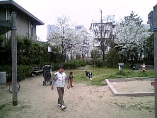 d0053023_2116457.jpg