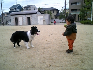 つかのまの曇り日_d0053023_21172926.jpg