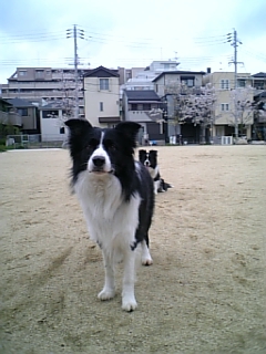 d0053023_21193294.jpg