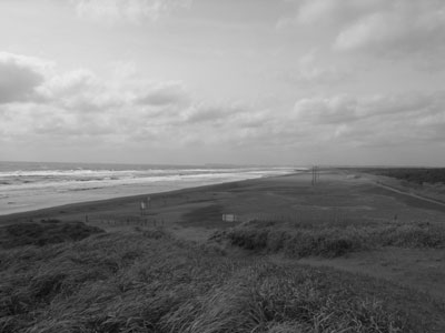 f0067724_1974754.jpg