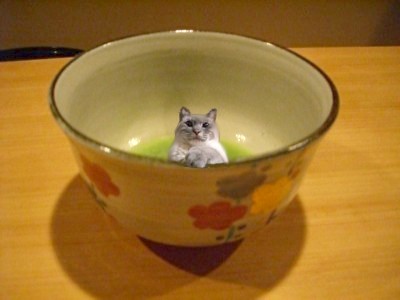 お掃除。_c0006826_76831.jpg