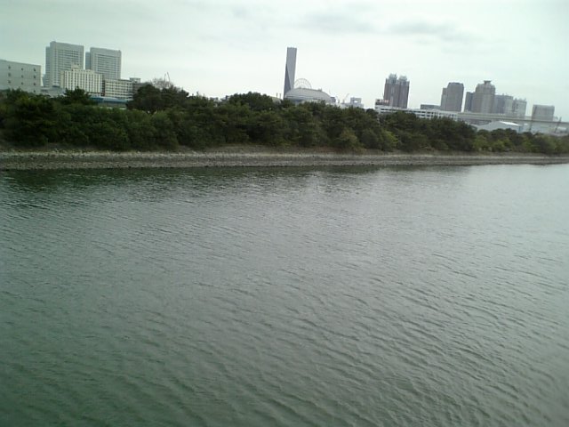 a0041128_1194345.jpg