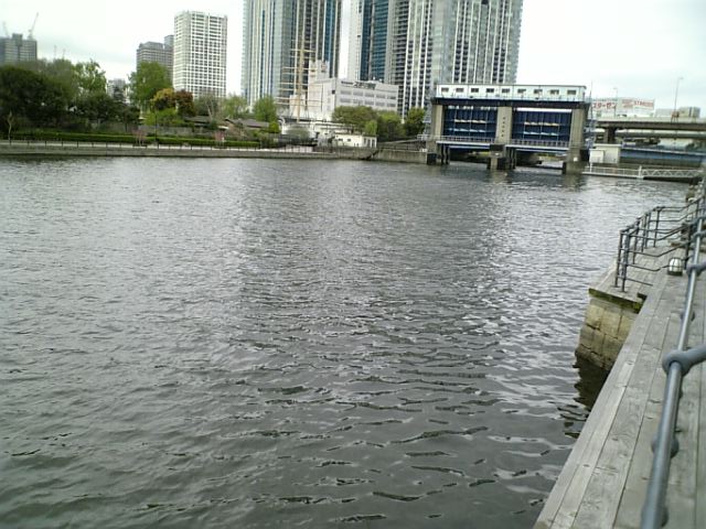 a0041128_1201928.jpg