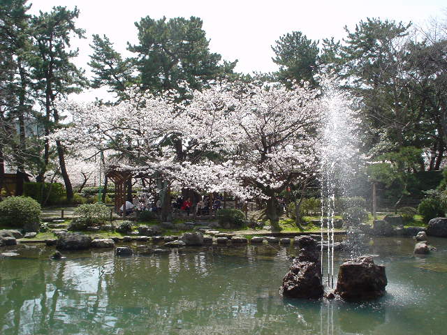 白山祭りの弐・・・_f0077139_16405971.jpg