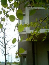 b0036340_140336.jpg
