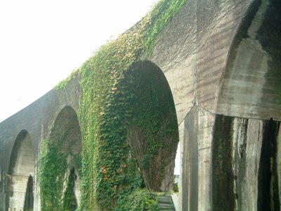 d0049152_2310654.jpg