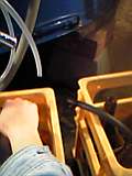d0007957_02311.jpg