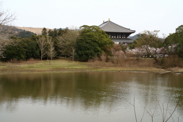 奈良　東大寺　（奈良オフ会）_f0014971_23295870.jpg