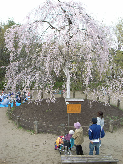 タイミング良し悪し_e0082981_23274925.jpg