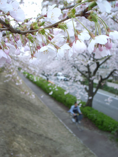 タイミング良し悪し_e0082981_2330585.jpg