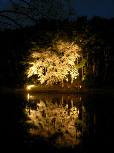タイミング良し悪し_e0082981_23323859.jpg