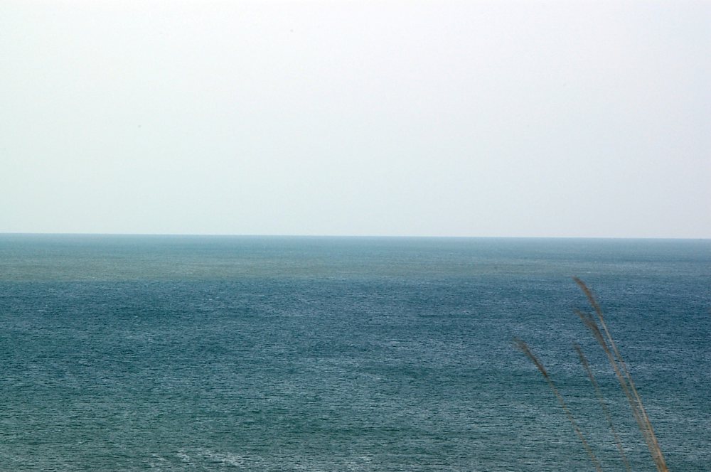 a0062697_22335964.jpg