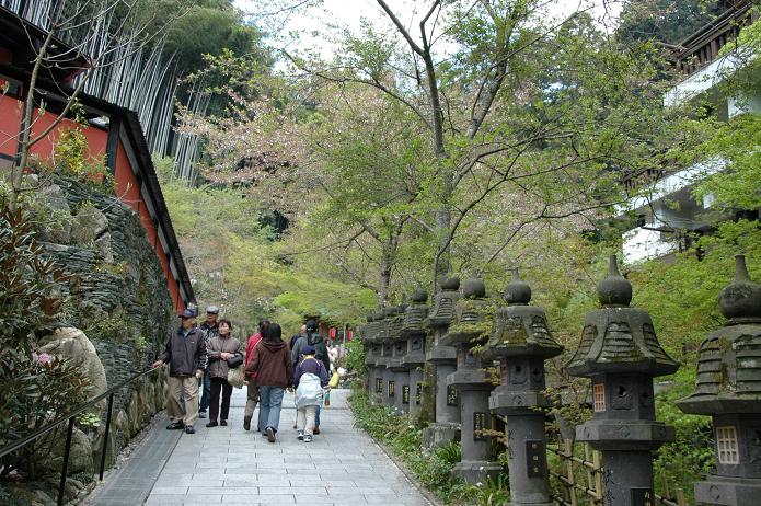 篠栗 南蔵院 1_a0042310_18135966.jpg